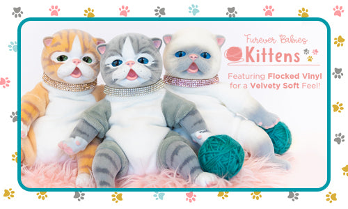 Meet Our Purrfectly Adorable Furever Baby Kittens!