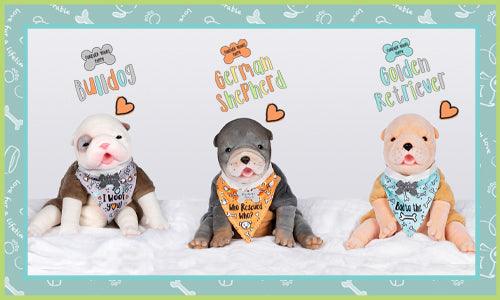 Say hello to Furever Babies - Paradise Galleries