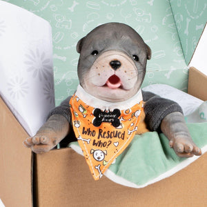 Paradise Galleries Reborn Puppy - Furever Babies - German Shepherd Stuffed Animal